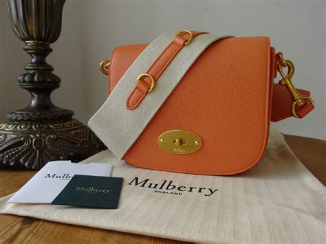 darley satchel mulberry.